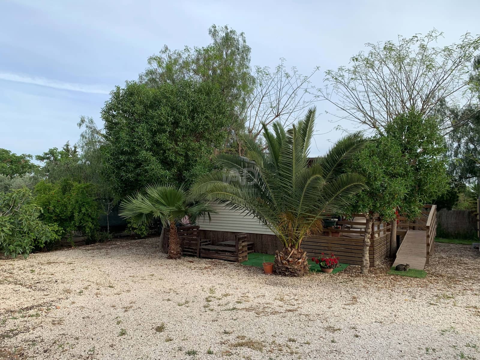 Terreno Non Edificato in vendita in Elche / Elx - 139.000 € (Rif: 9989079)