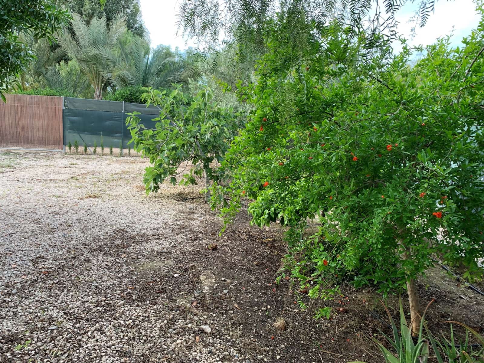 Terreno Non Edificato in vendita in Elche / Elx - 139.000 € (Rif: 9989079)