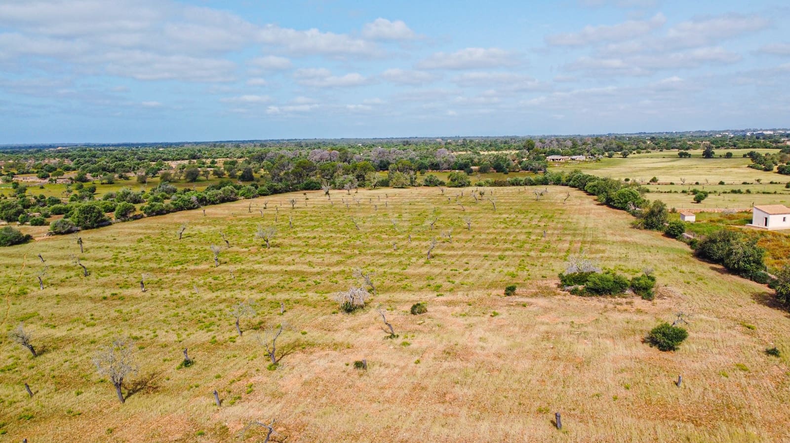 Terreno Não Urbanizado para venda em Llucmajor - 450 000 € (Ref: 9989095)