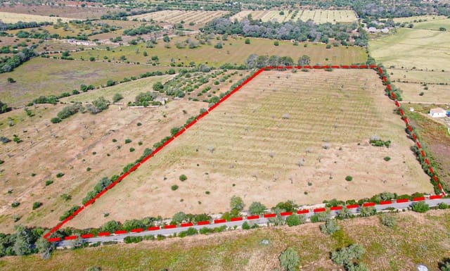 Terreno Não Urbanizado para venda em Llucmajor - 450 000 € (Ref: 9989095)