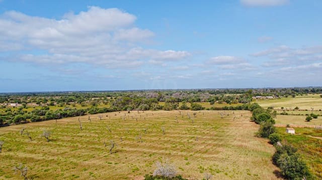 Terreno Não Urbanizado para venda em Llucmajor - 450 000 € (Ref: 9989095)
