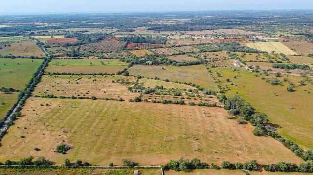 Terreno Não Urbanizado para venda em Llucmajor - 450 000 € (Ref: 9989095)
