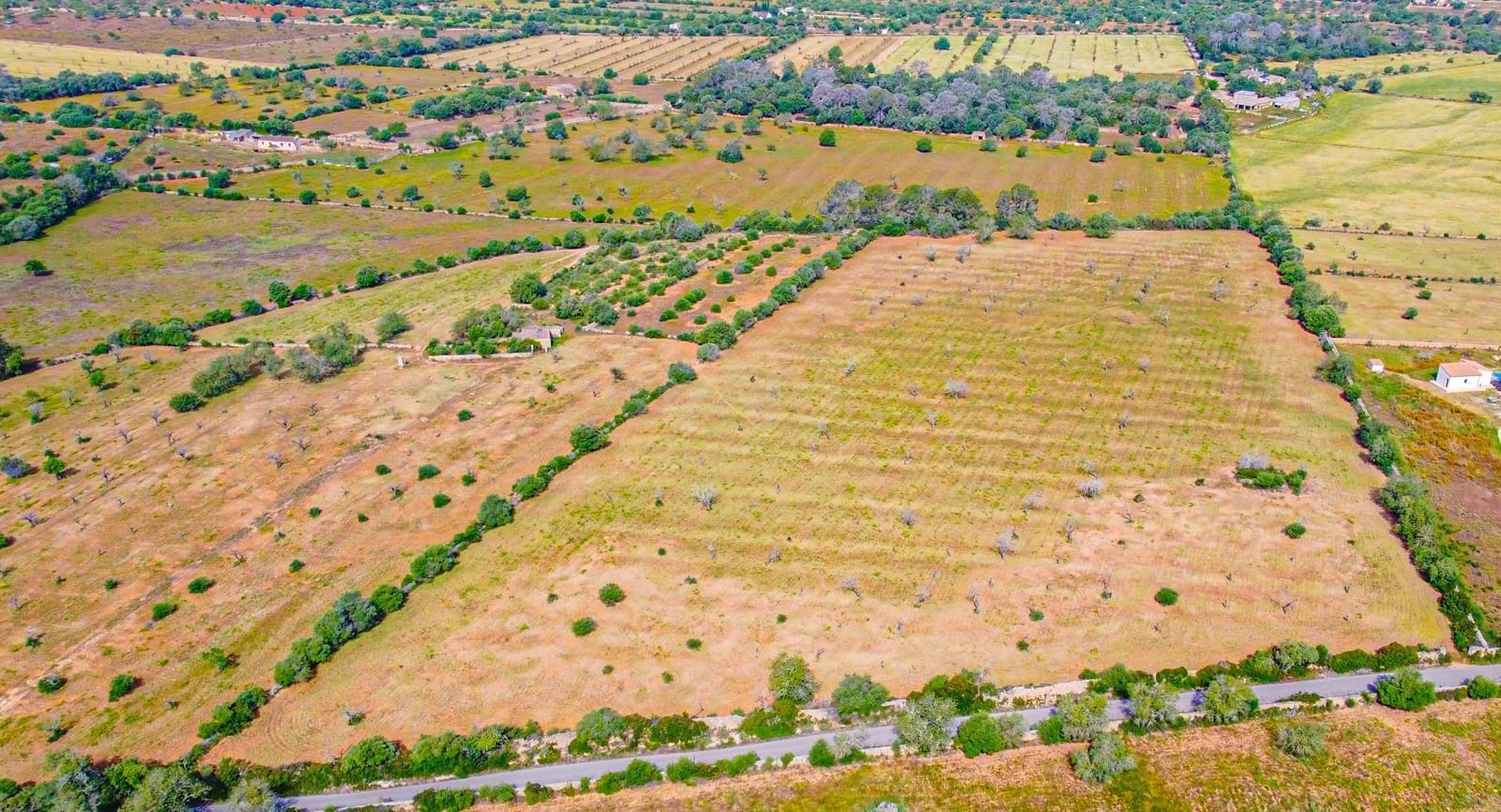 Terreno Não Urbanizado para venda em Llucmajor - 450 000 € (Ref: 9989095)