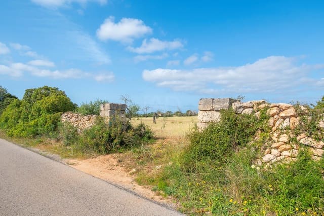 Terreno Não Urbanizado para venda em Llucmajor - 450 000 € (Ref: 9989095)