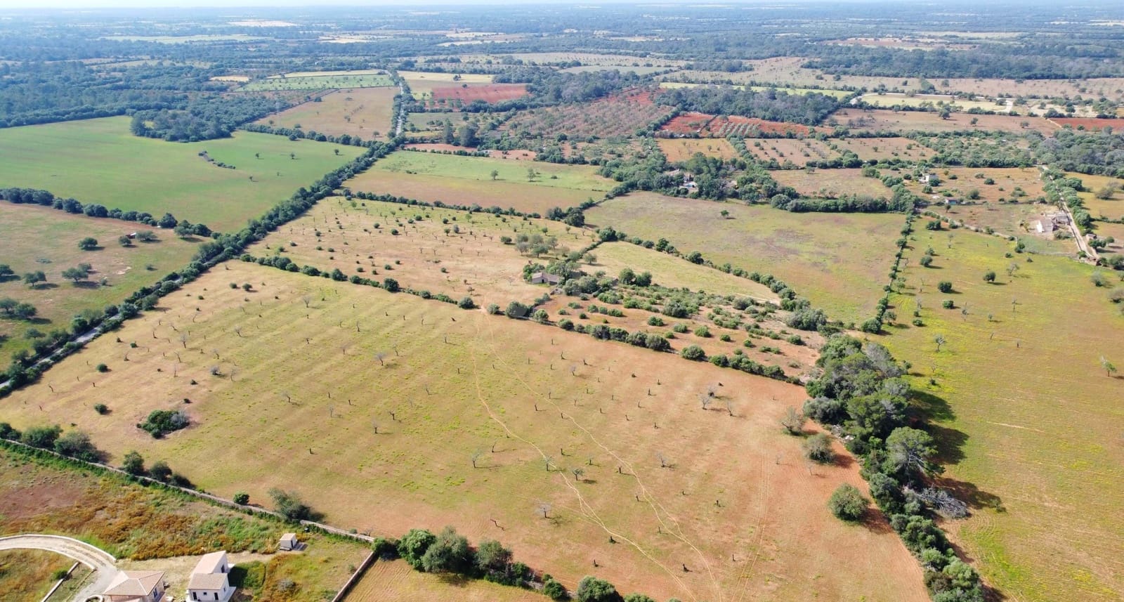 Terreno Não Urbanizado para venda em Llucmajor - 450 000 € (Ref: 9989095)