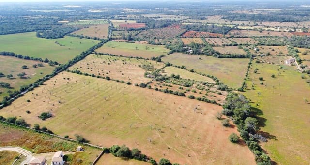 Terreno Não Urbanizado para venda em Llucmajor - 450 000 € (Ref: 9989095)