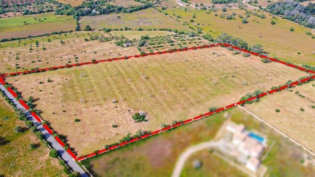 Terreno Não Urbanizado para venda em Llucmajor - 450 000 € (Ref: 9989095)