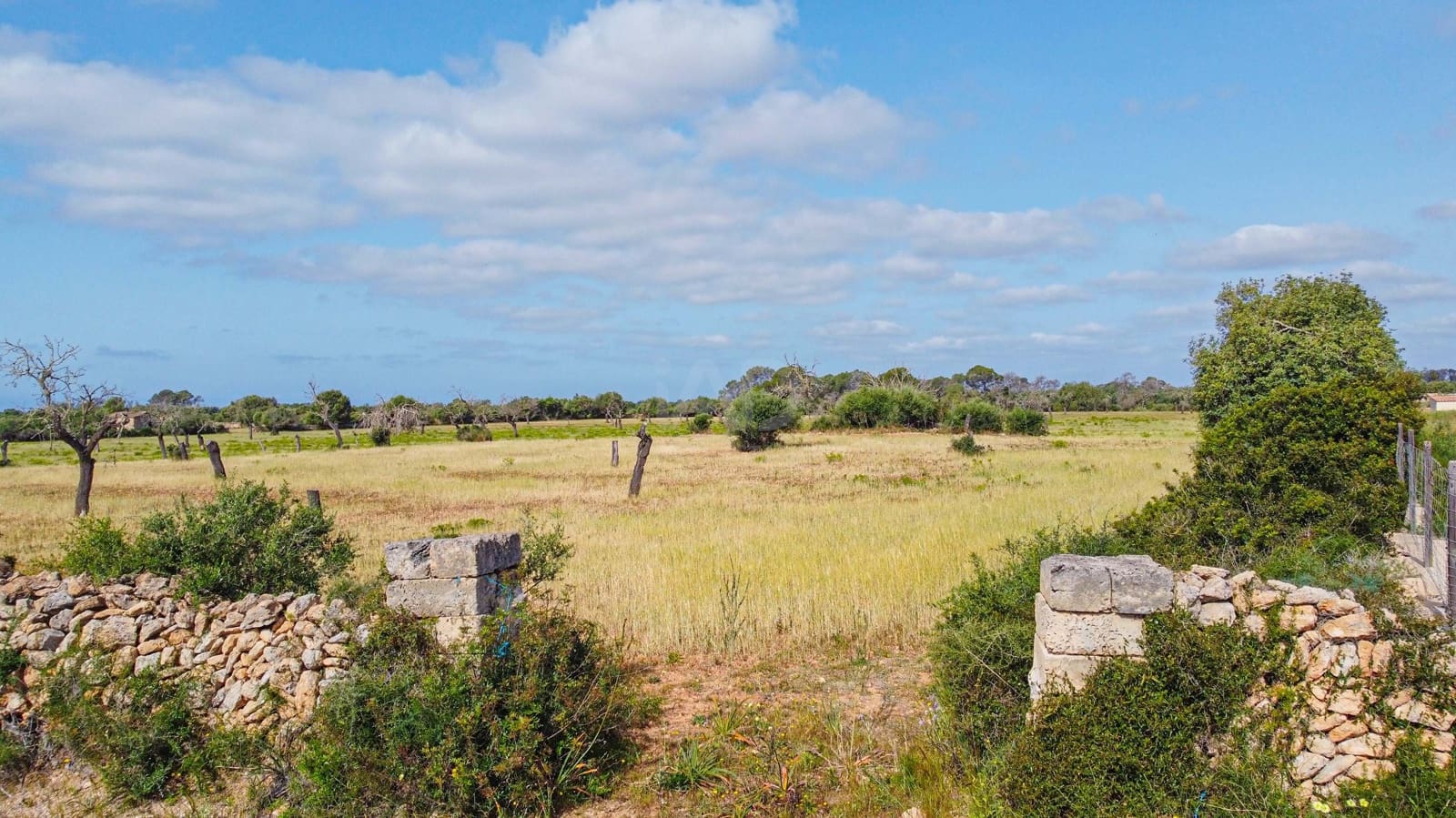 Terreno Não Urbanizado para venda em Llucmajor - 450 000 € (Ref: 9989095)