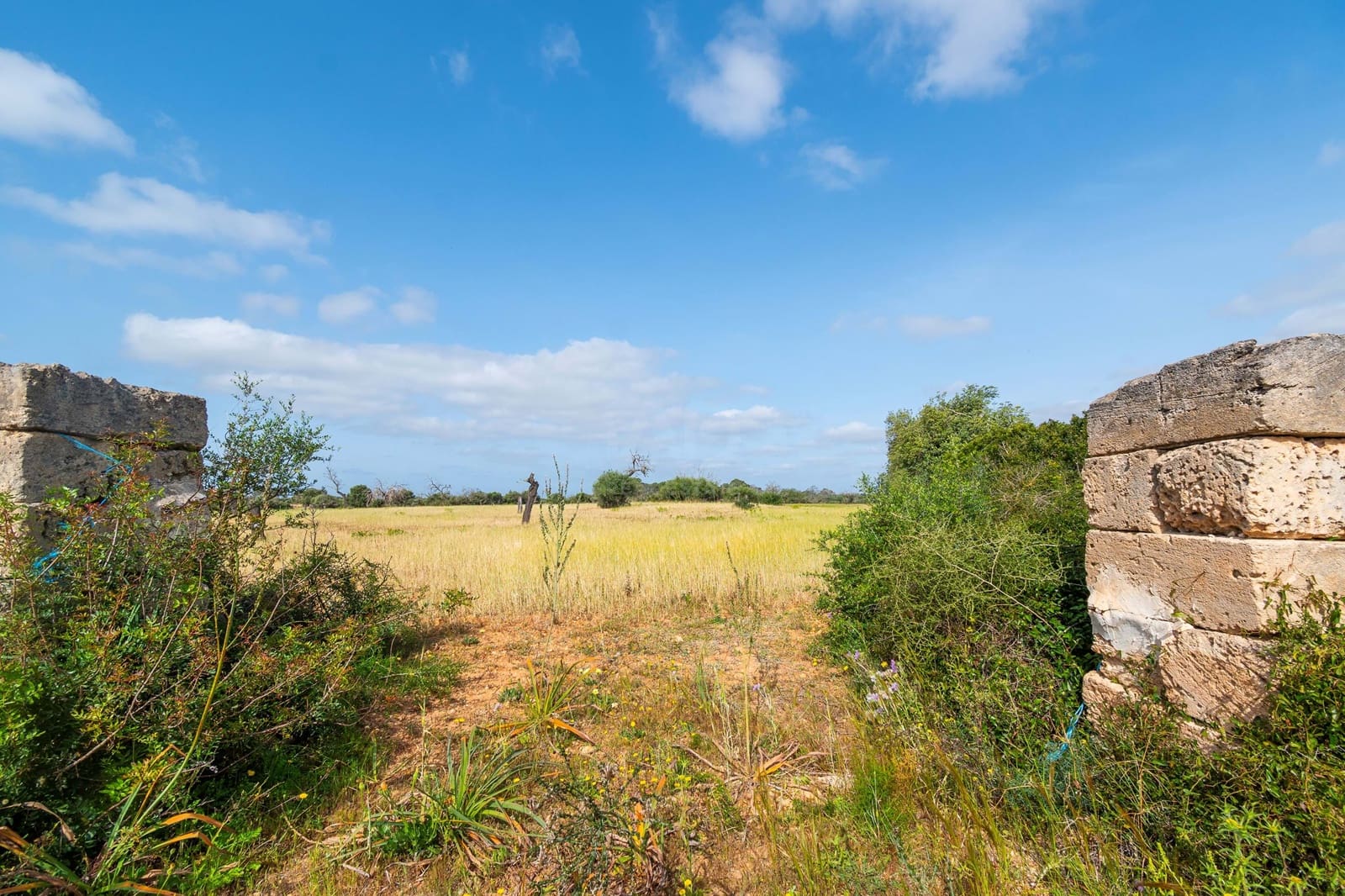 Terreno Não Urbanizado para venda em Llucmajor - 450 000 € (Ref: 9989095)