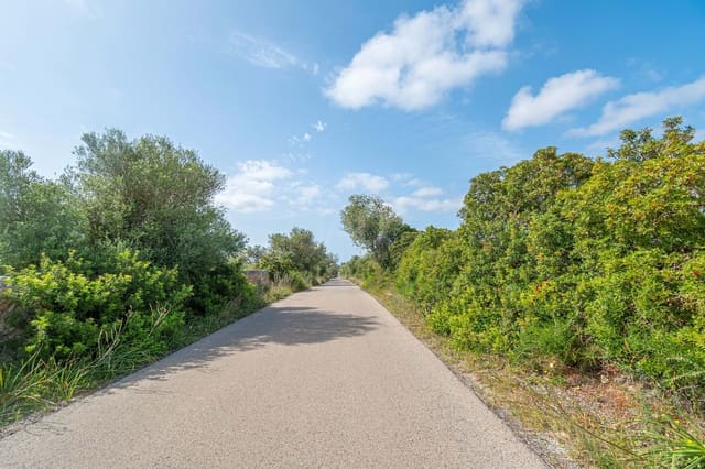 Terreno Não Urbanizado para venda em Llucmajor - 450 000 € (Ref: 9989095)