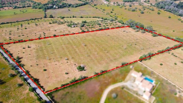 Terreno Não Urbanizado para venda em Llucmajor - 450 000 € (Ref: 9989095)