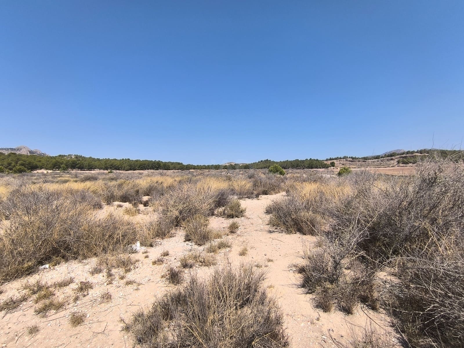 Tomt till salu i Alicante stad - 2 475 000 € (Ref: 9989098)