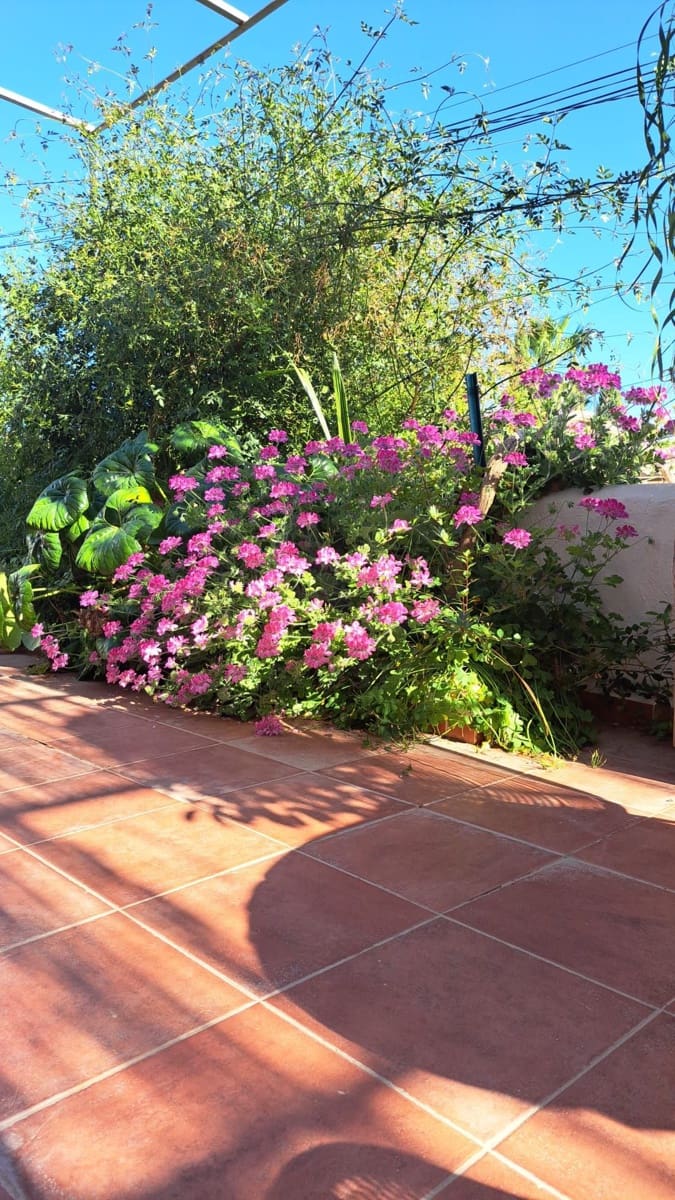 2 bedroom Townhouse for sale in Calvia with garage - € 880,000 (Ref: 9989099)