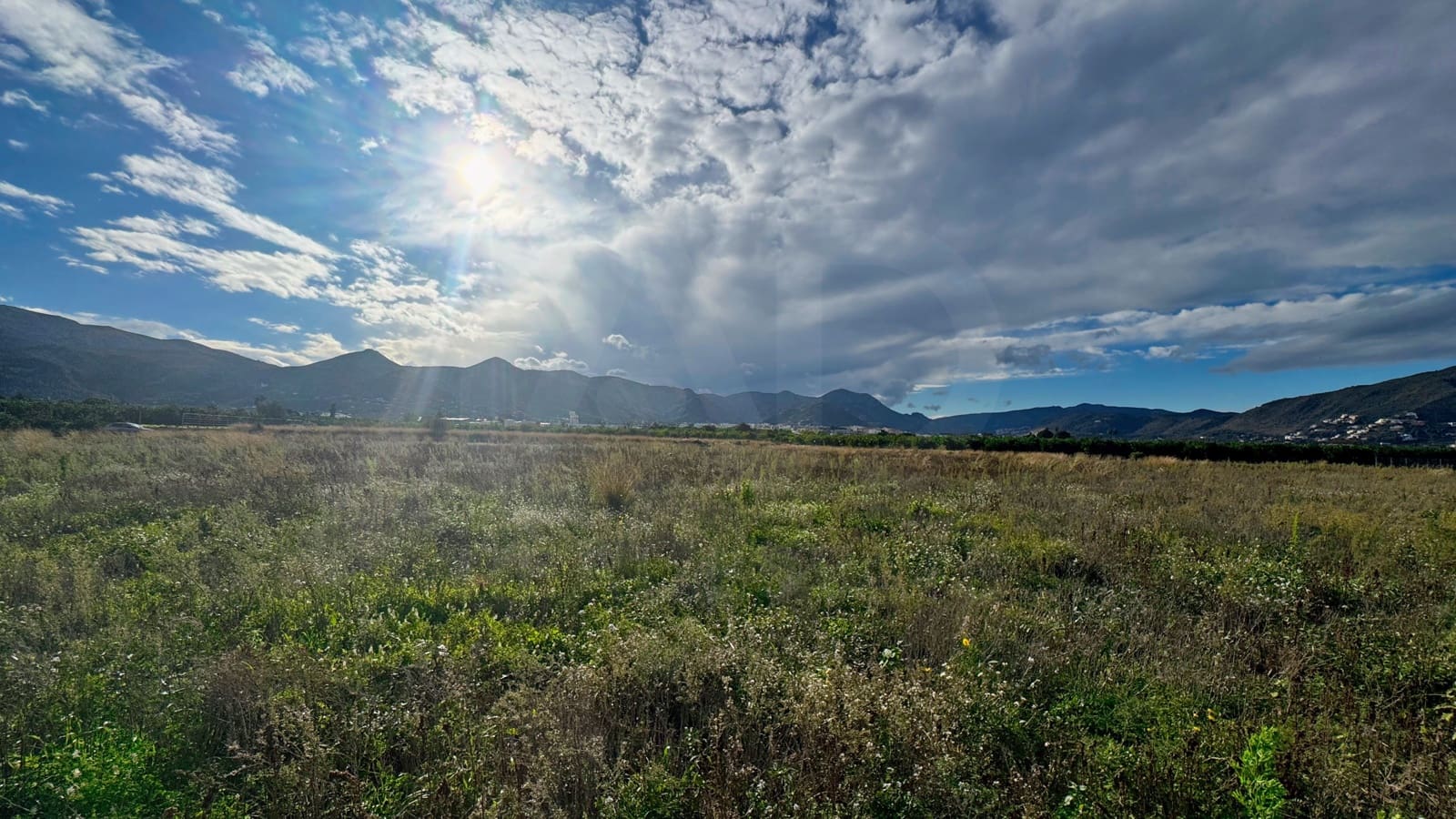 Undeveloped Land for sale in Alicante / Alacant city - € 100,000 (Ref: 9989106)
