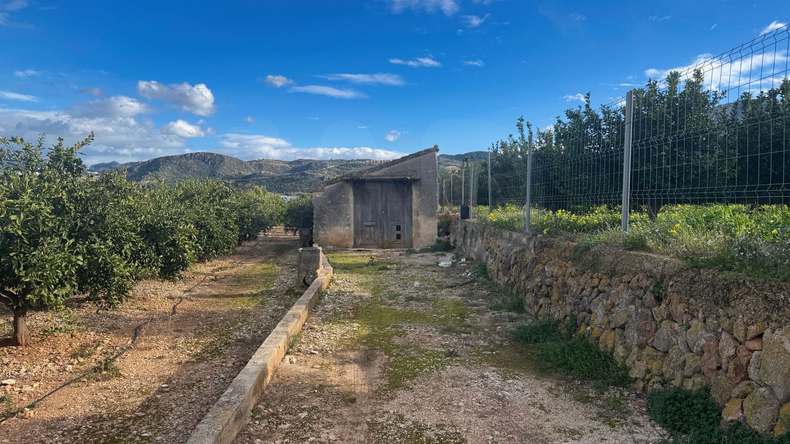 Undeveloped Land for sale in Alicante / Alacant city - € 100,000 (Ref: 9989106)