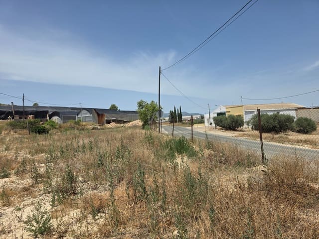 Area Edificabile in vendita in Calasparra - 50.000 € (Rif: 9989114)
