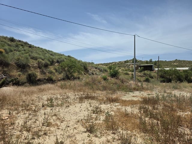Area Edificabile in vendita in Calasparra - 50.000 € (Rif: 9989114)