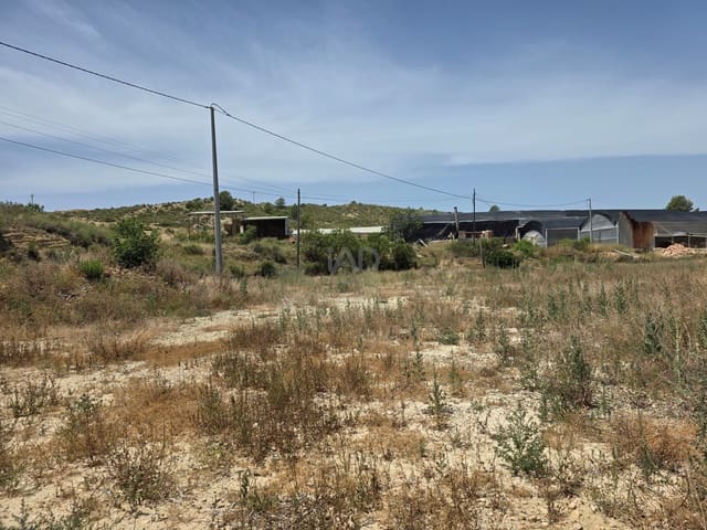 Area Edificabile in vendita in Calasparra - 50.000 € (Rif: 9989114)