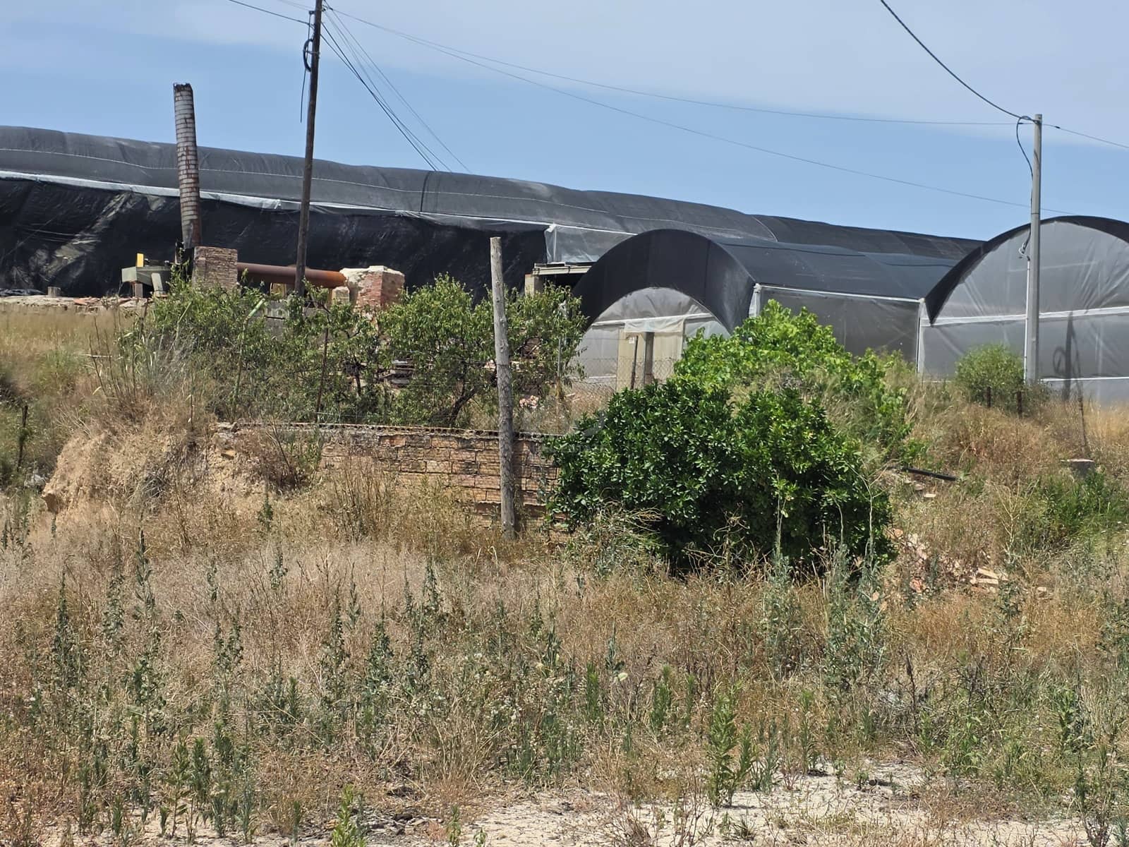 Solar/Parcela en Calasparra en venta - 50.000 € (Ref: 9989114)