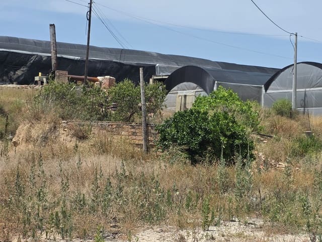 Area Edificabile in vendita in Calasparra - 50.000 € (Rif: 9989114)
