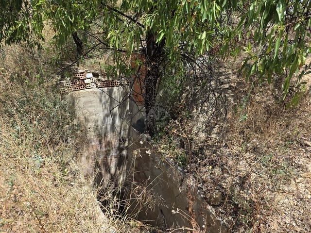 Area Edificabile in vendita in Calasparra - 50.000 € (Rif: 9989114)