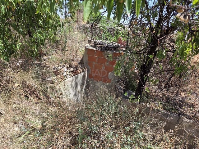 Area Edificabile in vendita in Calasparra - 50.000 € (Rif: 9989114)