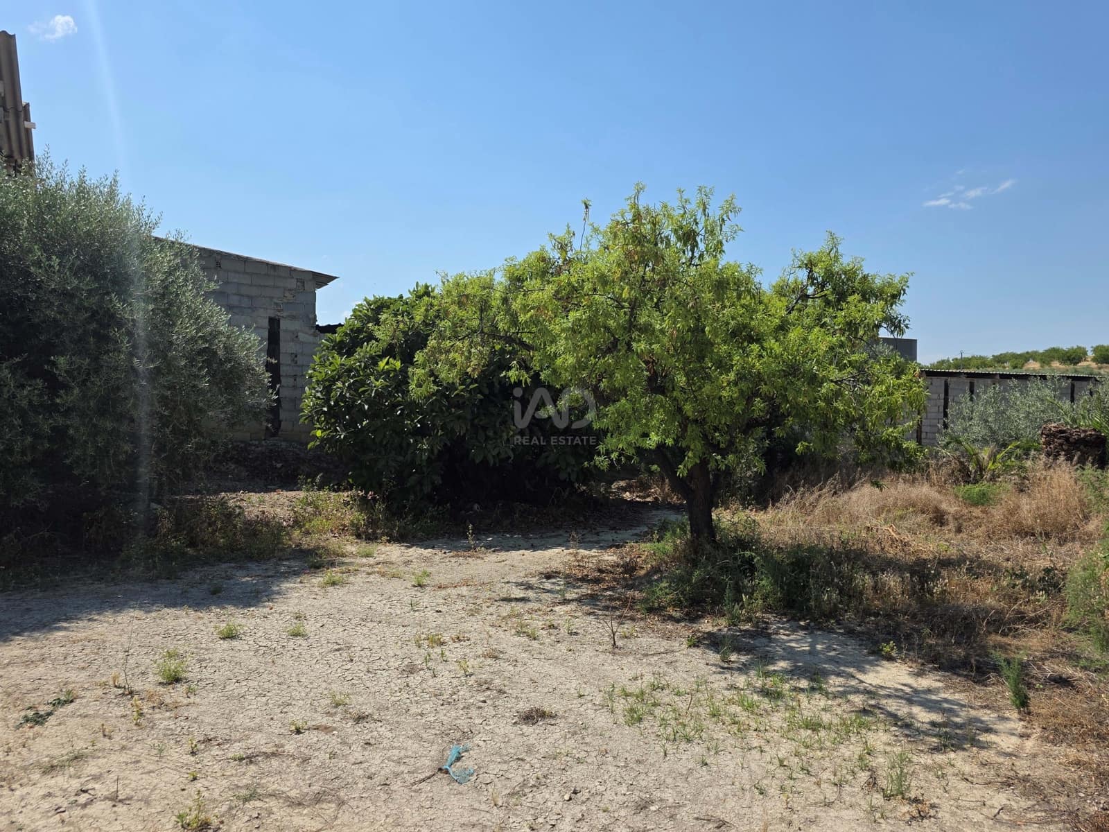 Teren niezagospodarowany na sprzedaż w Calasparra - 75 000 € (Ref: 9989117)