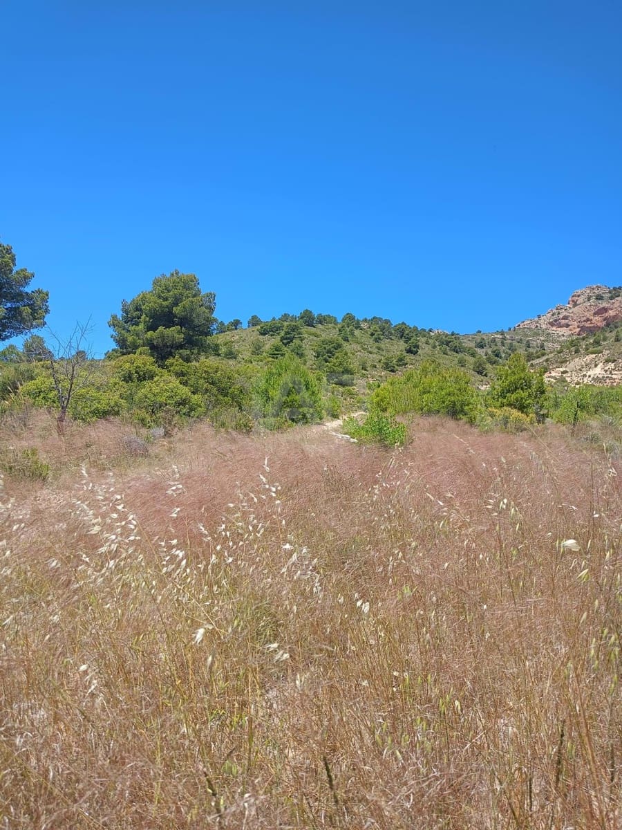 Grond te koop in Aviles - € 14.000 (Ref: 9989120)