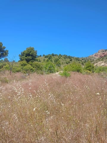 Grond te koop in Aviles, Lorca - € 14.000 (Ref: 9989120)