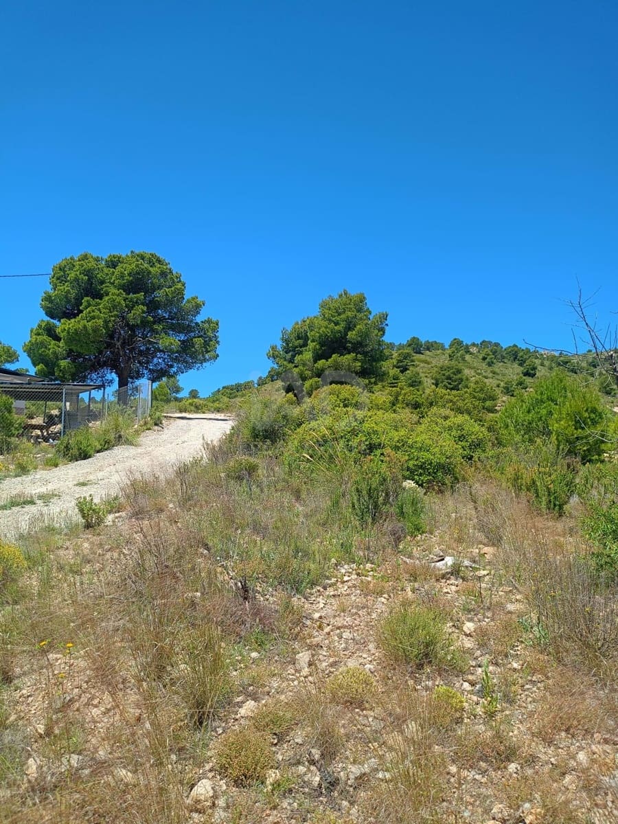 Grond te koop in Aviles - € 14.000 (Ref: 9989120)