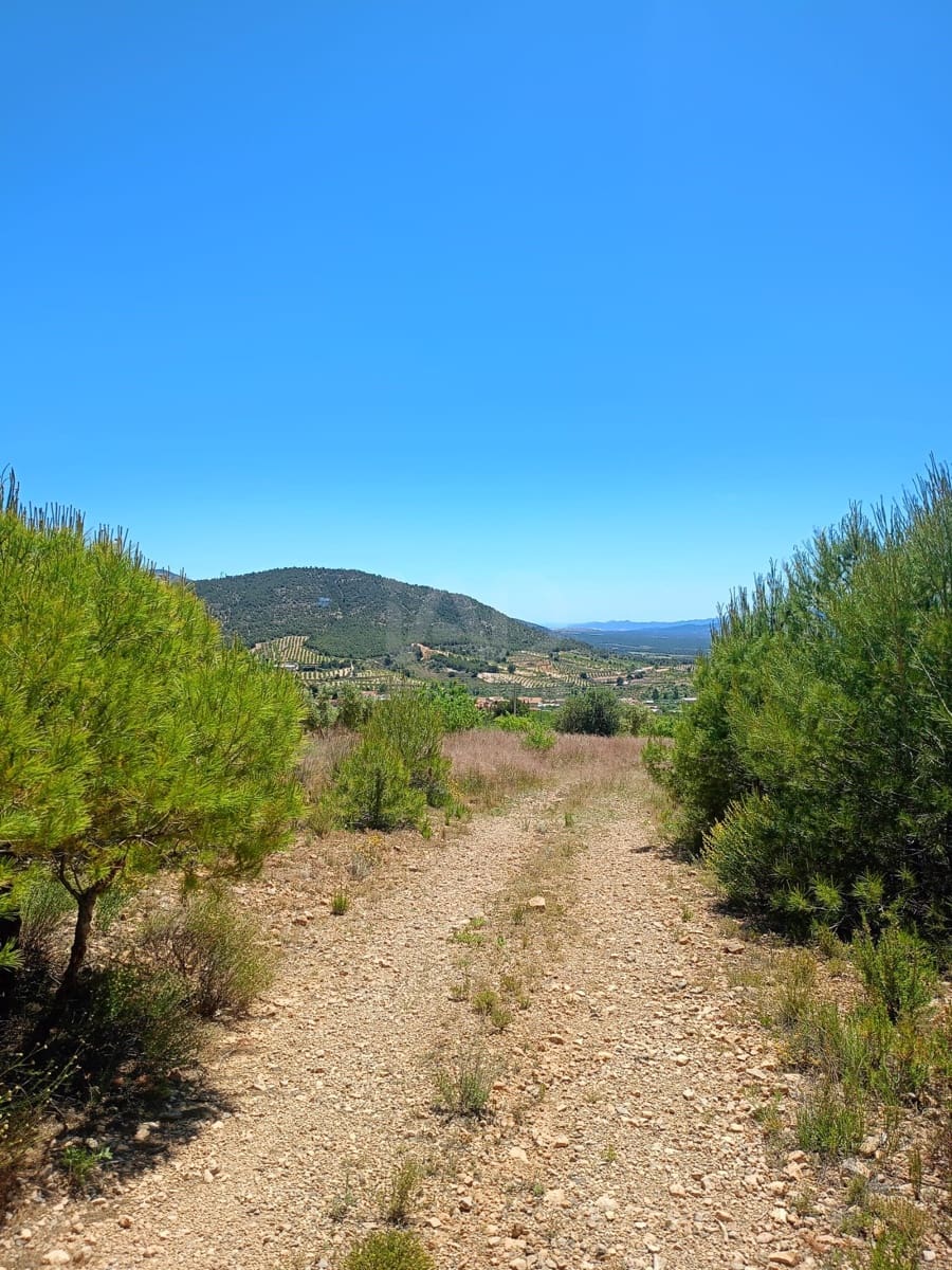 Grond te koop in Aviles - € 14.000 (Ref: 9989120)