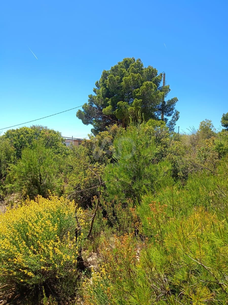 Grond te koop in Aviles - € 14.000 (Ref: 9989120)