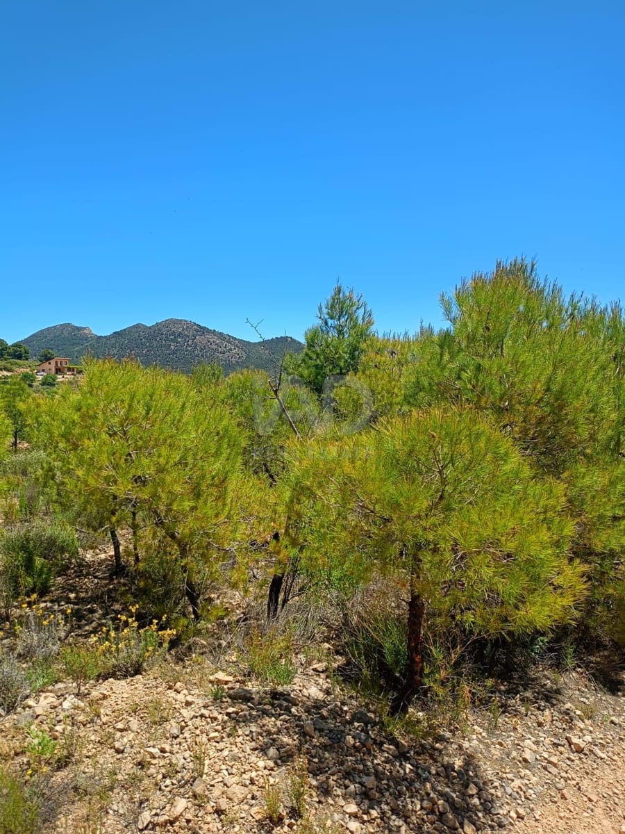 Grond te koop in Aviles - € 14.000 (Ref: 9989120)