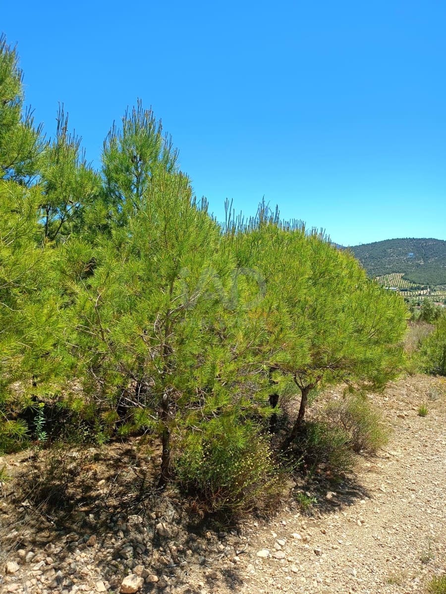 Grond te koop in Aviles - € 14.000 (Ref: 9989120)