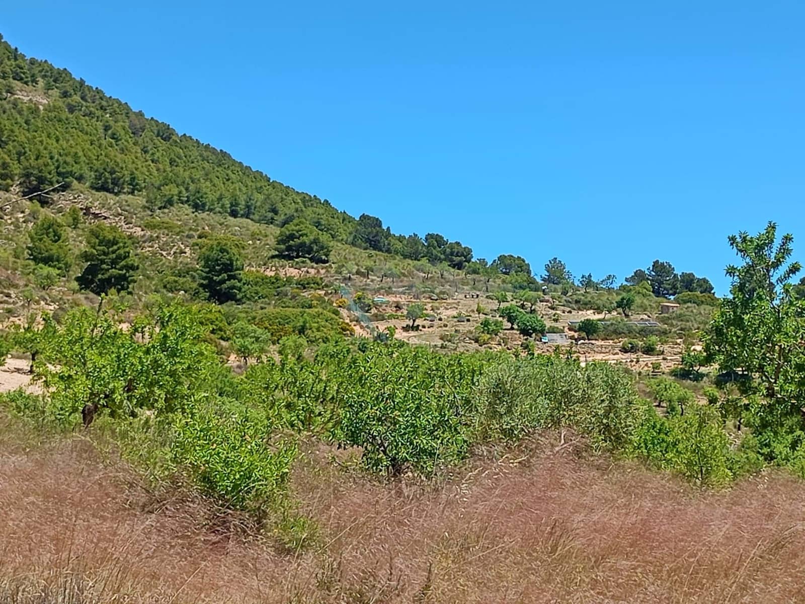 Grond te koop in Aviles - € 14.000 (Ref: 9989120)