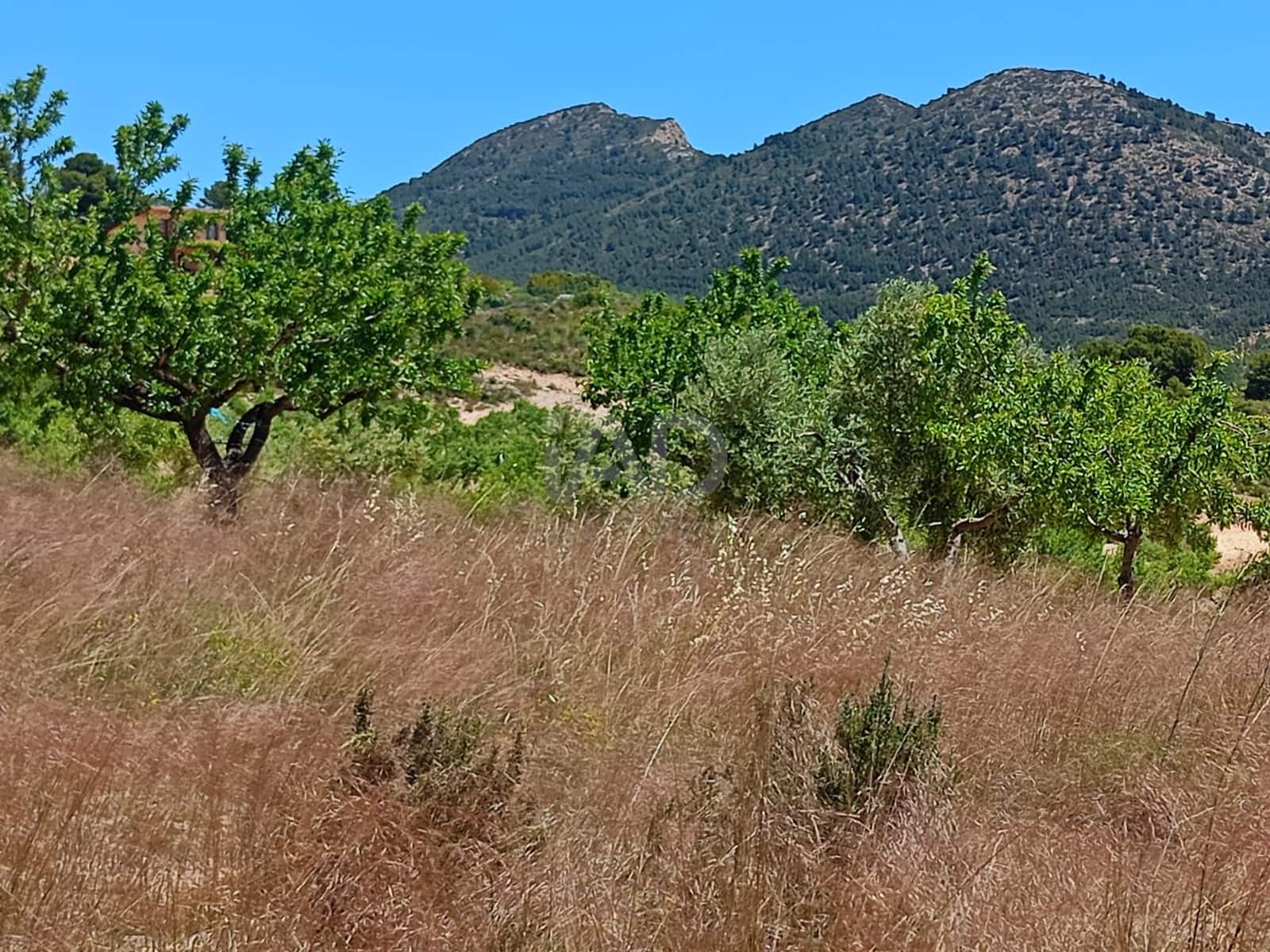 Grond te koop in Aviles - € 14.000 (Ref: 9989120)