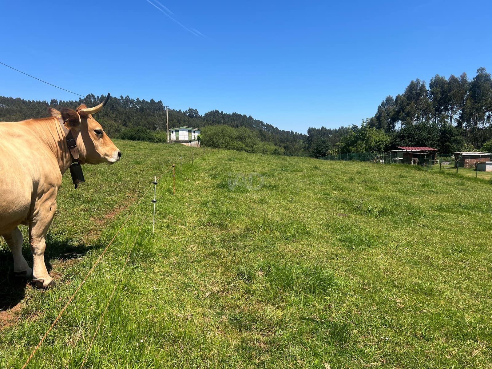 Ubebygd land til salgs i Castrillon - € 27 500 (Ref: 9989123)