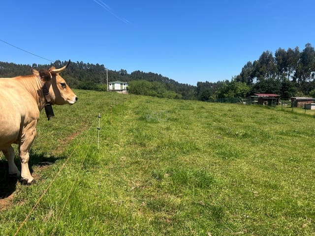 Ubebygd land til salgs i Castrillón - € 27 500 (Ref: 9989123)