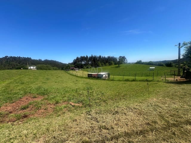 Ubebygd land til salgs i Castrillón - € 27 500 (Ref: 9989123)
