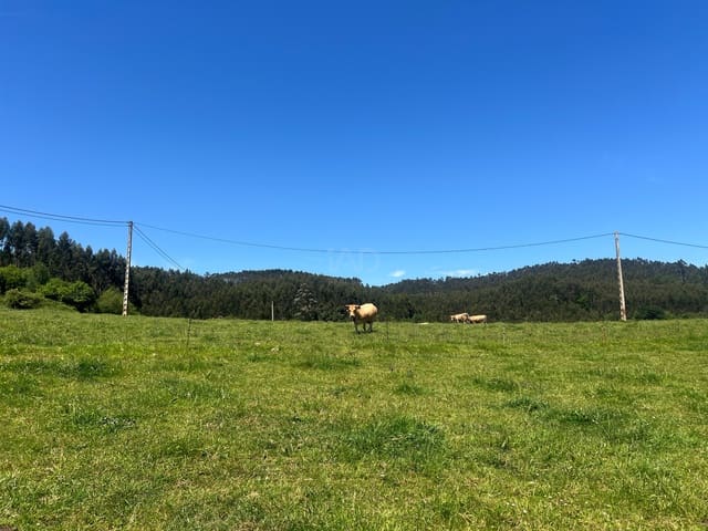 Ubebygd land til salgs i Castrillón - € 27 500 (Ref: 9989123)