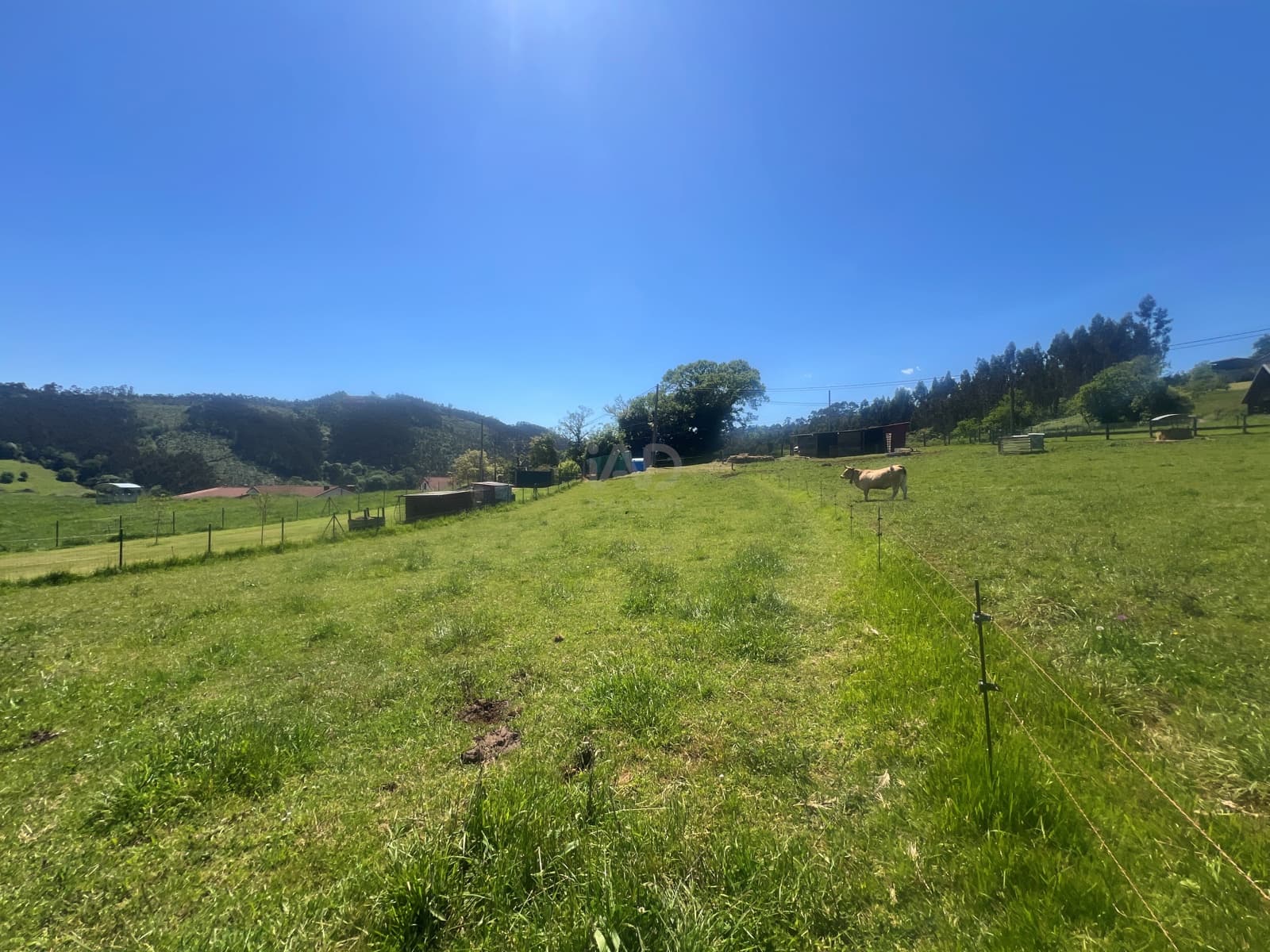 Ubebygd land til salgs i Castrillon - € 27 500 (Ref: 9989123)