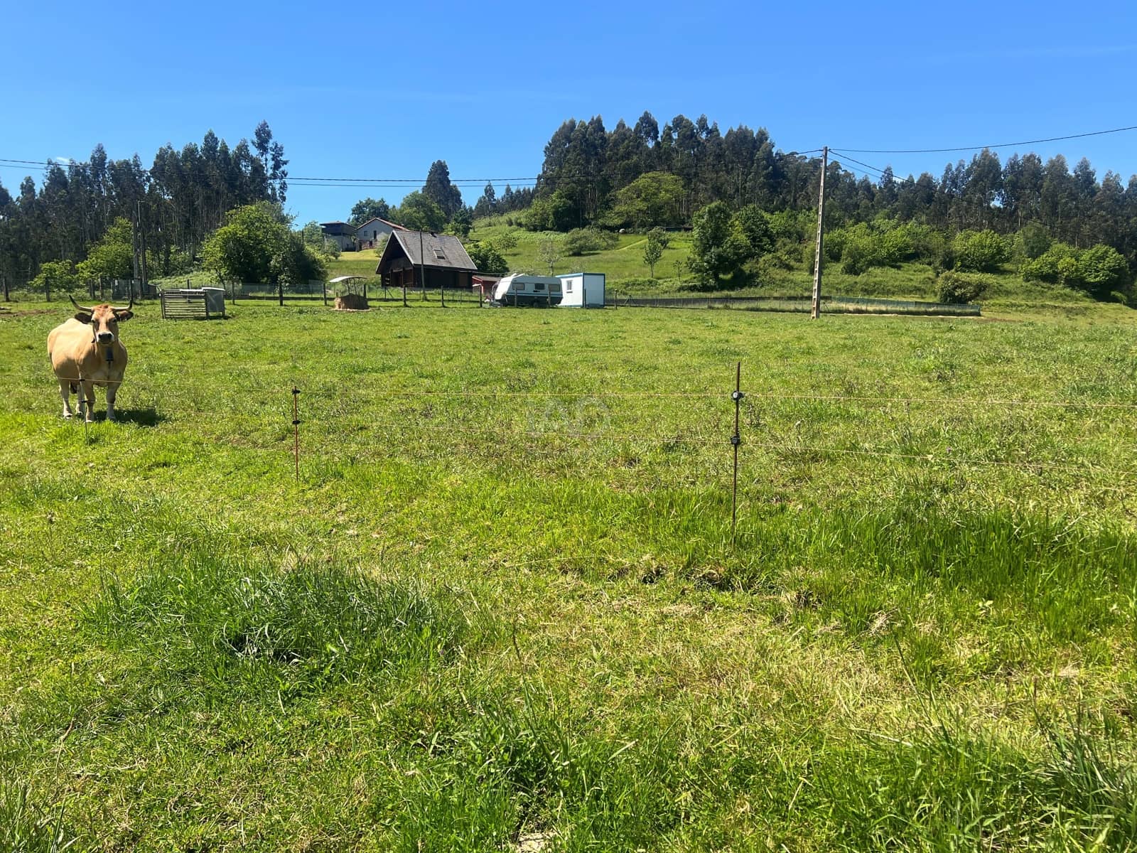 Ubebygd land til salgs i Castrillon - € 27 500 (Ref: 9989123)