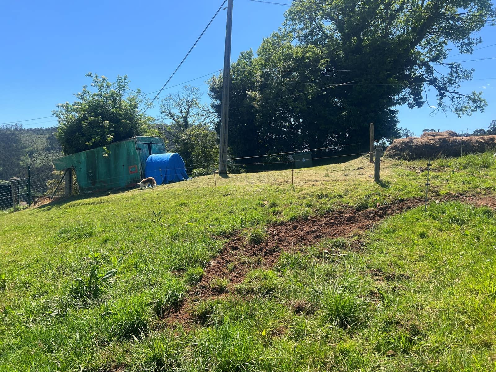 Ubebygd land til salgs i Castrillon - € 27 500 (Ref: 9989123)