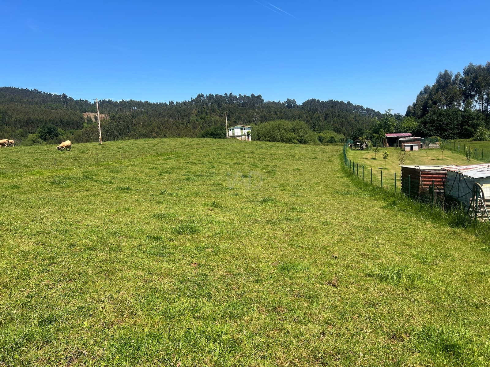 Ubebygd land til salgs i Castrillon - € 27 500 (Ref: 9989123)