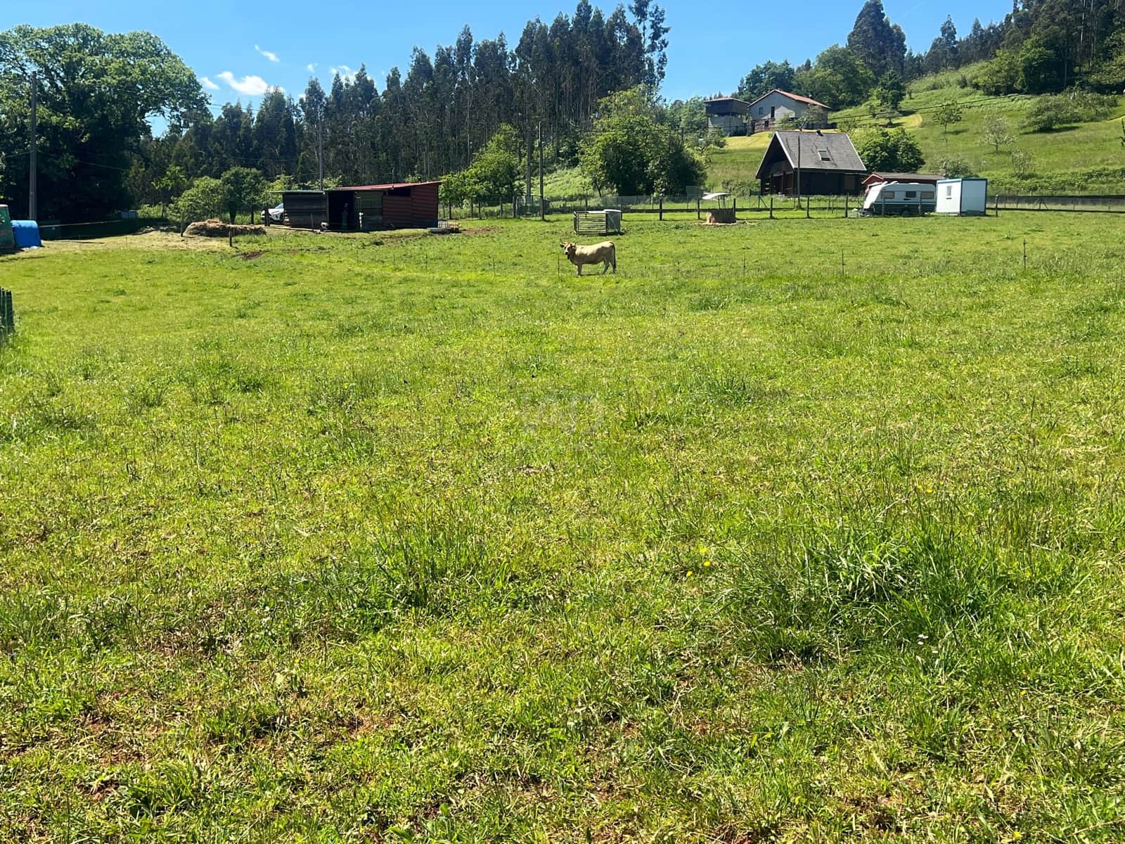 Ubebygd land til salgs i Castrillon - € 27 500 (Ref: 9989123)