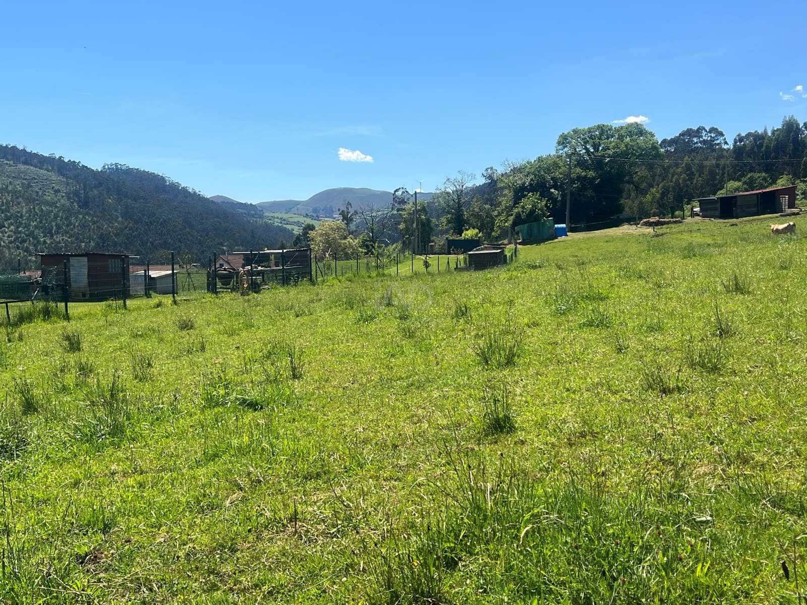 Ubebygd land til salgs i Castrillon - € 27 500 (Ref: 9989123)