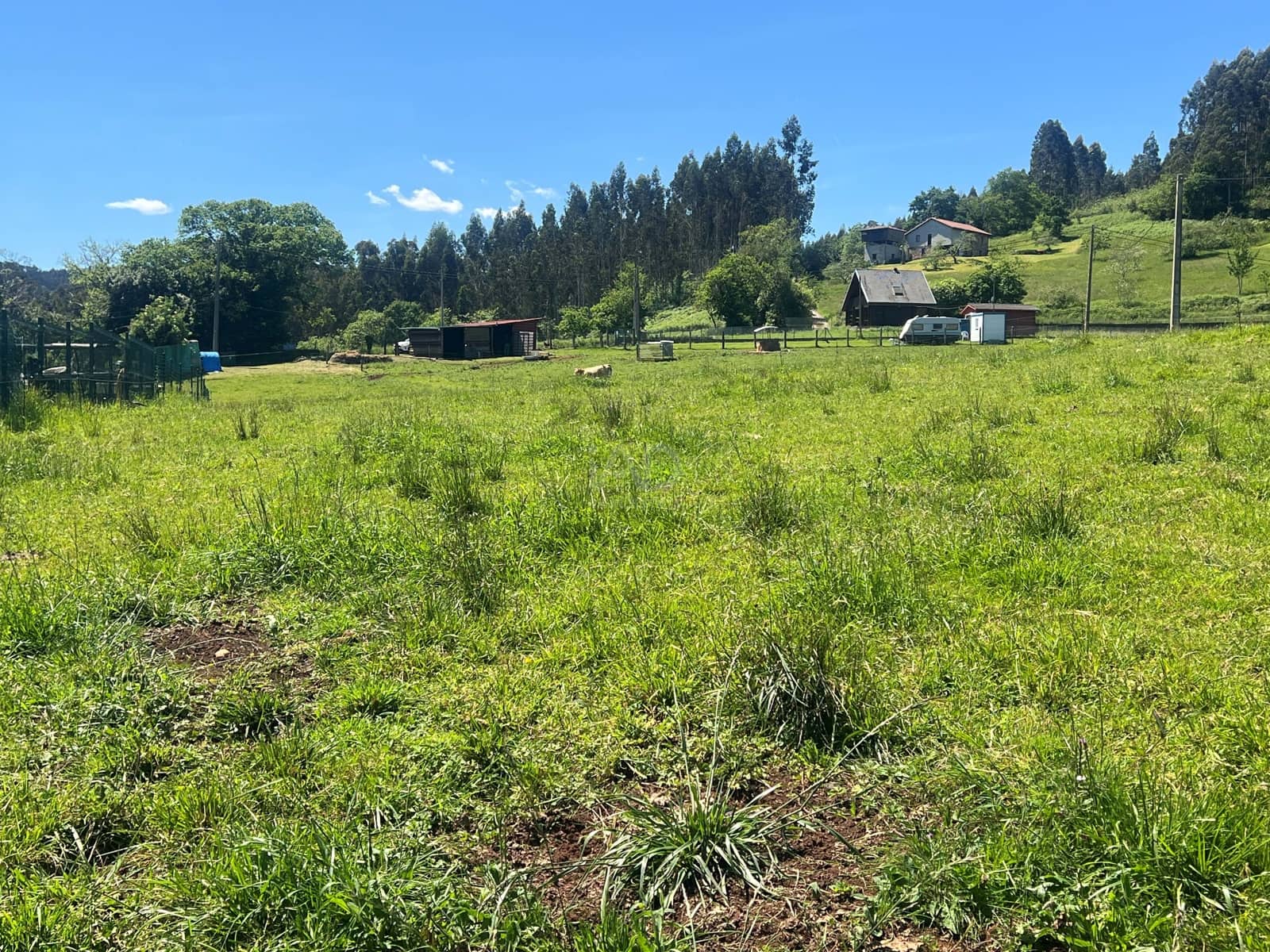 Ubebygd land til salgs i Castrillon - € 27 500 (Ref: 9989123)