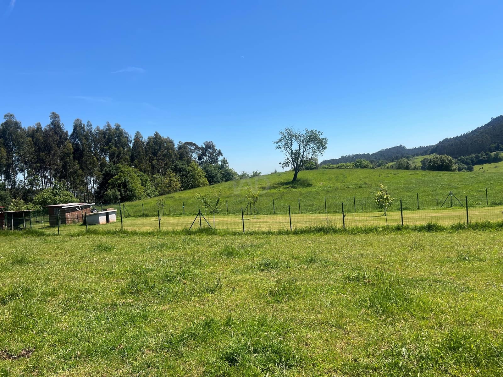 Ubebygd land til salgs i Castrillon - € 27 500 (Ref: 9989123)