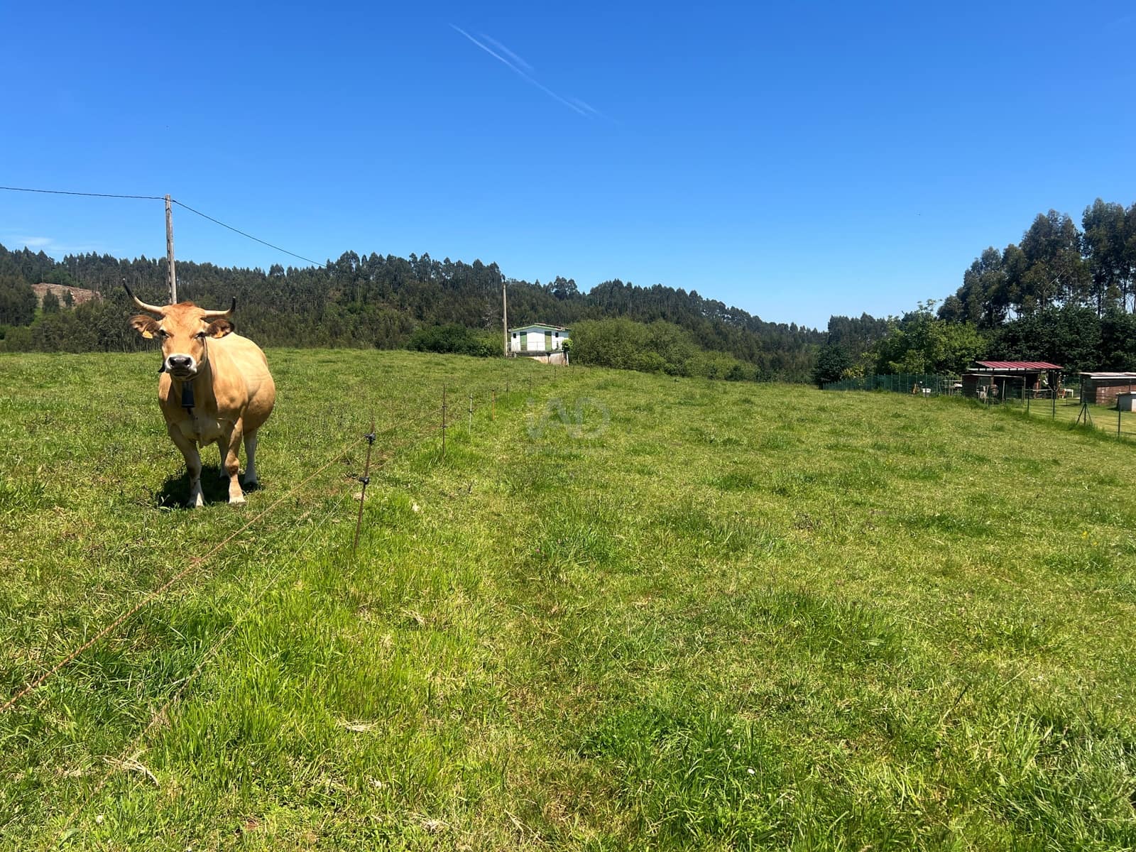 Ubebygd land til salgs i Castrillon - € 27 500 (Ref: 9989123)