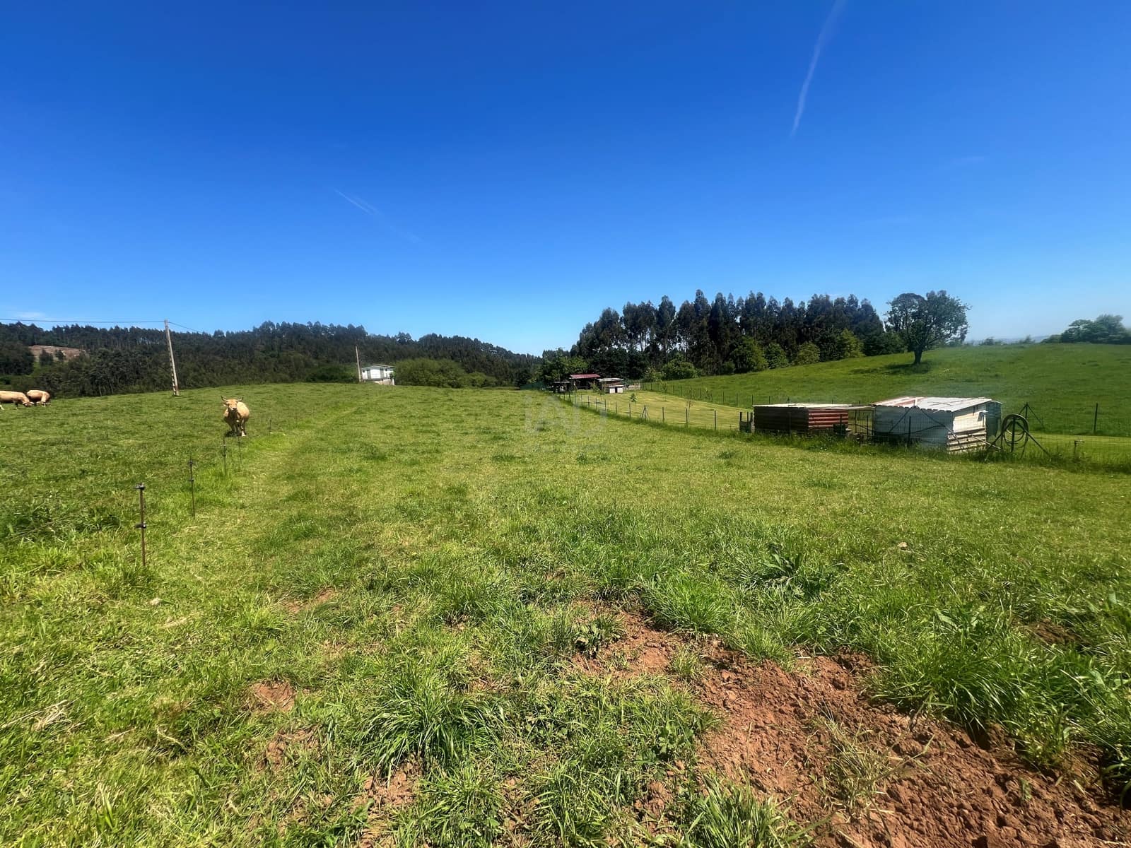 Ubebygd land til salgs i Castrillon - € 27 500 (Ref: 9989123)